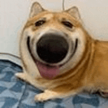 a close up of a dog laying on a blanket with its tongue hanging out .