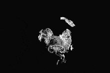 a black and white drawing of a chicken on a black background