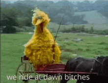 big bird is riding in a horse drawn carriage with the words we ride at dawn bitches .