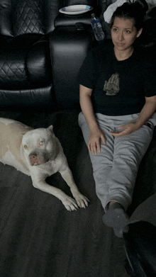 a woman sits on the floor next to a dog wearing a t-shirt that says ' star wars ' on it