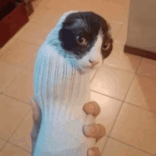 a black and white cat is wrapped up in a sock