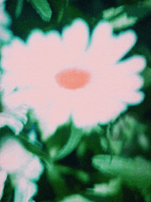 a white flower with a red center is surrounded by greenery