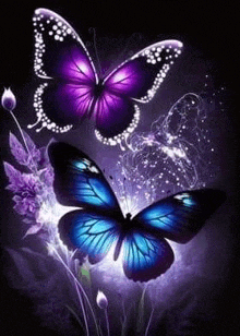 two purple and blue butterflies are sitting next to each other on a purple flower .