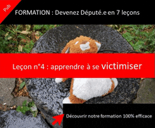 a stuffed animal is laying on a rock with the words lecon n ° 4 : apprendre a se victimiser on it