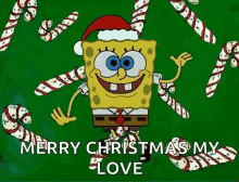 spongebob is wearing a santa hat and surrounded by candy canes and says `` merry christmas my love '' .