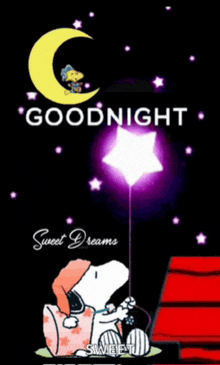 snoopy is holding a star in front of a crescent moon .