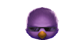 a purple bird with sunglasses on its face