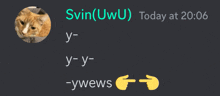 a screenshot of a chat with the name svin ( uwu )