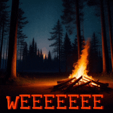 a picture of a campfire in the woods with the words weeeeeee below it