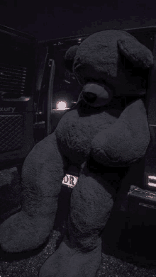 a black teddy bear is sitting in the back of a black luxury car