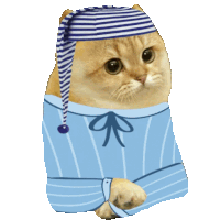 a cat wearing a striped hat and striped shirt