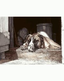 a painting of a dog laying on a wooden ledge