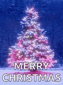 a merry christmas card with a pink christmas tree in the background