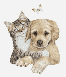 a puppy and a kitten are laying next to each other with a butterfly flying in the background .