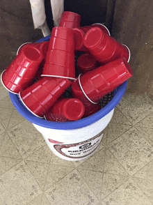 a blue and white bucket filled with red plastic cups from kirkland