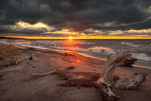 a sunset over a body of water with a few pieces of driftwood on the beach