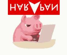 a picture of a pig using a laptop with the words red babi army