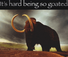 a picture of a mammoth with the words it 's hard being so goated