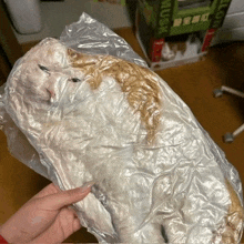 a person is holding a cat wrapped in plastic