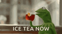 kermit the frog is holding a glass of ice tea and says ice tea now .