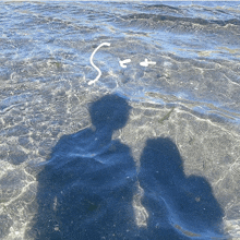 a drawing of a person in the water with the word sea written on it