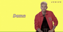 a man in a red jacket is standing in front of a yellow background and says damn .