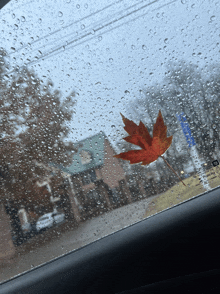 a maple leaf is floating in the windshield of a car on a rainy day