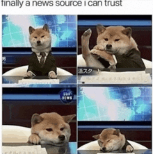 a dog wearing a suit and tie is sitting at a desk