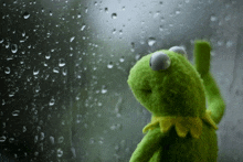 kermit the frog looking out a window with rain drops