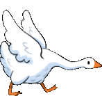 a cartoon drawing of a white goose with an orange beak .