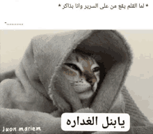 a cat is wrapped in a blanket with arabic writing