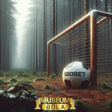 a soccer ball that says sbobet on it