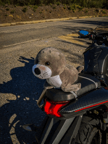 a stuffed seal on the back of a motorcycle