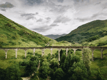 a train going over a bridge surrounded by trees