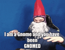 a man with a gnome hat and beard says i am a gnome and you have been gnomed