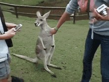 a kangaroo with a cigarette in its mouth is being held by a woman while another woman looks at her phone .