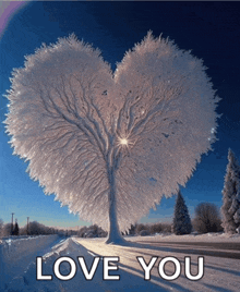 a picture of a heart shaped tree with the words love you underneath it