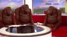 three orangutans are sitting next to each other on a couch in a room .