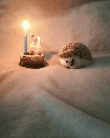 a hedgehog is laying on a bed next to a birthday cake with candles on it