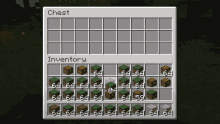 a screenshot of a minecraft game shows the chest and inventory