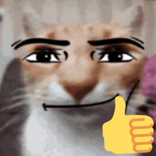 a close up of a cat 's face with a thumbs up sign next to it