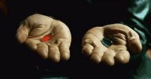 a person is holding two pills in their hands . one is a red pill and the other is a blue pill .