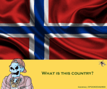 a cartoon of a skeleton in front of a norwegian flag with the question " what is this country "