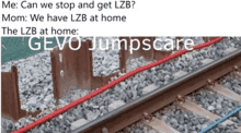 a picture of a train track with the caption " can we stop and get lzb mom we have lzb at home "