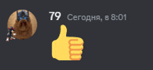 a thumbs up icon next to a picture of a dog and the number 79