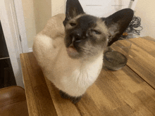 a cat sitting on a wooden table next to a glass