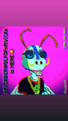 a cartoon of a fly wearing sunglasses and a necklace with a purple background that says " is here "