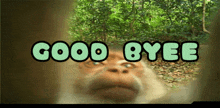 a picture of a monkey with the words " good byee " above it