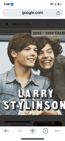 a picture of harry styles and larry stylinson