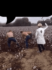 three men are picking cotton in a field while a woman in a white coat is standing in the background .